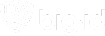 BigID logo